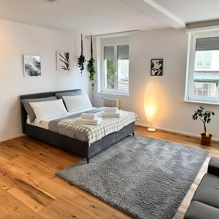 Apartament Modernes, Renoviertes Naehe Dem Zentrum Kostenloses Parken St. Gallen