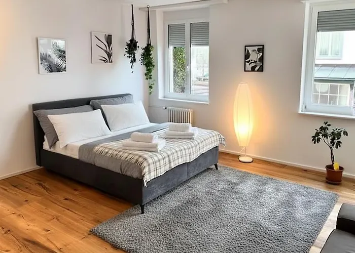 Apartman Modernes, Renoviertes Naehe Dem Zentrum Kostenloses Parken St. Gallen
